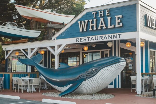 The Whale Restaurant in Milpitas